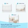 imageGraco Olivia Convertible Crib Black  GREENGUARD Gold Certified 100 Solid Wood Fits Standard Crib Mattress Converts to Toddler Bed and Daybed 4 Adjustable Mattress HeightsWhite