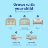 imageGraco Benton 5in1 Convertible Crib Gray  GREENGUARD Gold Certified Converts from Baby Crib to Toddler Bed Daybed and FullSize Bed Fits Standard FullSize Crib MattressDriftwood