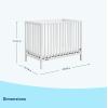 imageGraco Teddi 5in1 Convertible Crib with Drawer Pebble Gray with White  GREENGUARD Gold Certified Crib with Drawer Combo FullSize Nursery Storage Drawer Converts to Toddler BedWhite