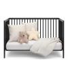 imageGraco Teddi 5in1 Convertible Crib with Drawer Pebble Gray with White  GREENGUARD Gold Certified Crib with Drawer Combo FullSize Nursery Storage Drawer Converts to Toddler BedBlack