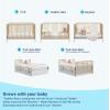 imageGraco Teddi 5in1 Convertible Crib with Drawer Pebble Gray with White  GREENGUARD Gold Certified Crib with Drawer Combo FullSize Nursery Storage Drawer Converts to Toddler BedDriftwood