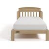imageGraco Benton Toddler Bed Blush  GREENGUARD Gold Certified Baby Safety Alliance Verified with Safety Toddler Guardrails Fits Standard Crib Mattress Easy Assembly Kids Transition BedDriftwood