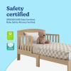 imageGraco Benton Toddler Bed Blush  GREENGUARD Gold Certified Baby Safety Alliance Verified with Safety Toddler Guardrails Fits Standard Crib Mattress Easy Assembly Kids Transition BedDriftwood