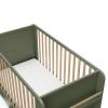 imageGraco ReadwithMe 4in1 Convertible Crib with Drawer Olive with Driftwood  GREENGUARD Gold Certified Converts to Toddler Bed Daybed and Functional BookshelvesOlive With Driftwood