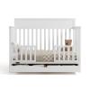 imageGraco Shiloh 5in1 Convertible Crib ampamp Changer with Drawer Driftwood  GREENGUARD Gold Certified Baby Crib Crafted from Wood Converts to Toddler Bed Daybed and FullSize BedWhite