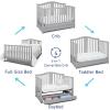 imageGraco Solano 4in1 Convertible Crib with Drawer Pebble Gray  GREENGUARD Gold Certified Includes FullSize Nursery Storage DrawerPebble Gray